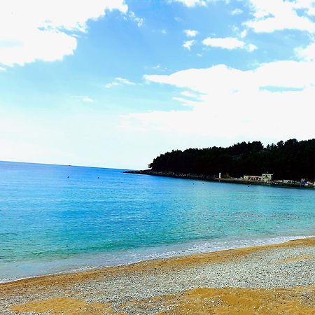 Philoxenia guest house Himara Zewnętrze zdjęcie