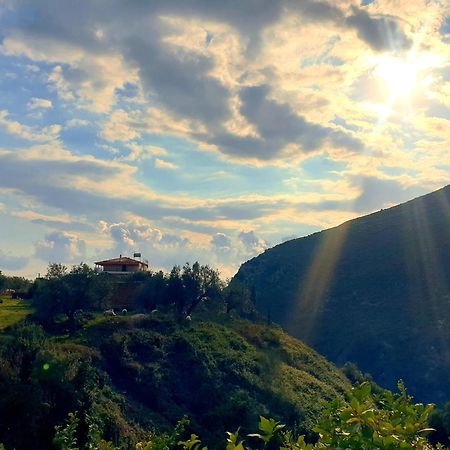 Philoxenia guest house Himara Zewnętrze zdjęcie
