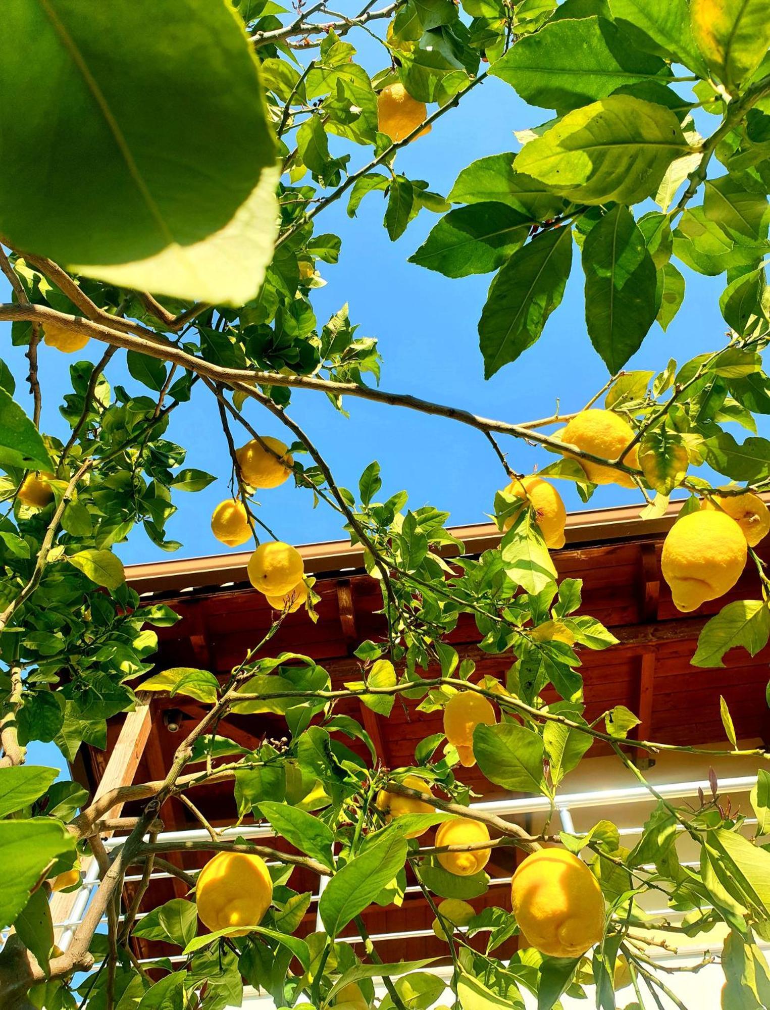 Philoxenia guest house Himara Zewnętrze zdjęcie