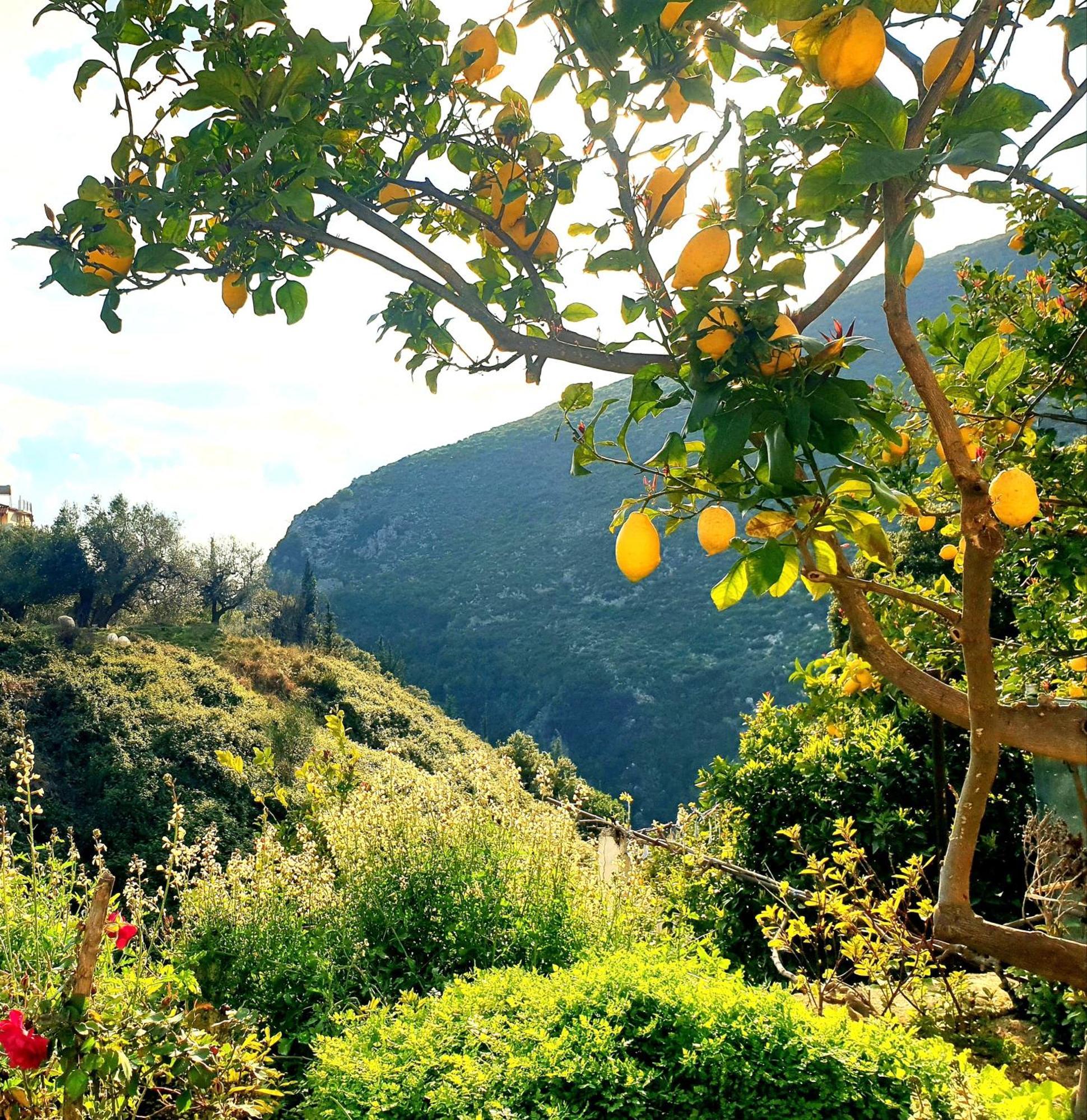 Philoxenia guest house Himara Zewnętrze zdjęcie