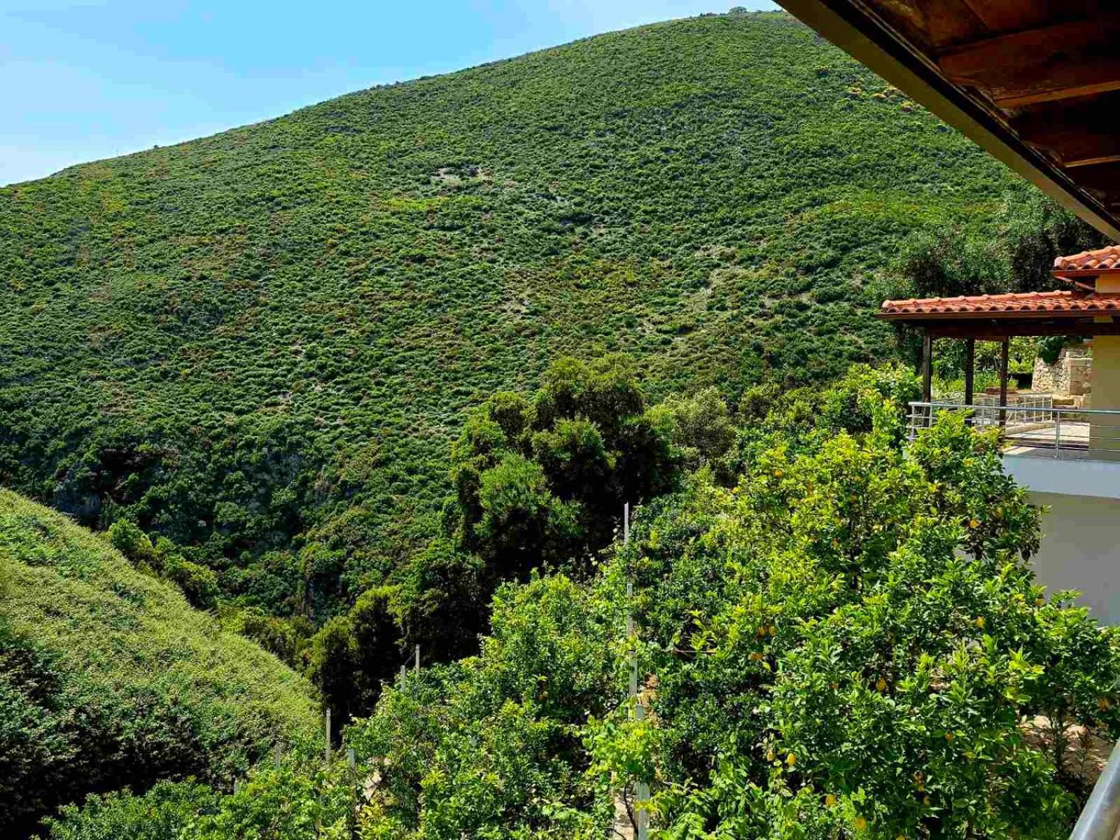 Philoxenia guest house Himara Zewnętrze zdjęcie