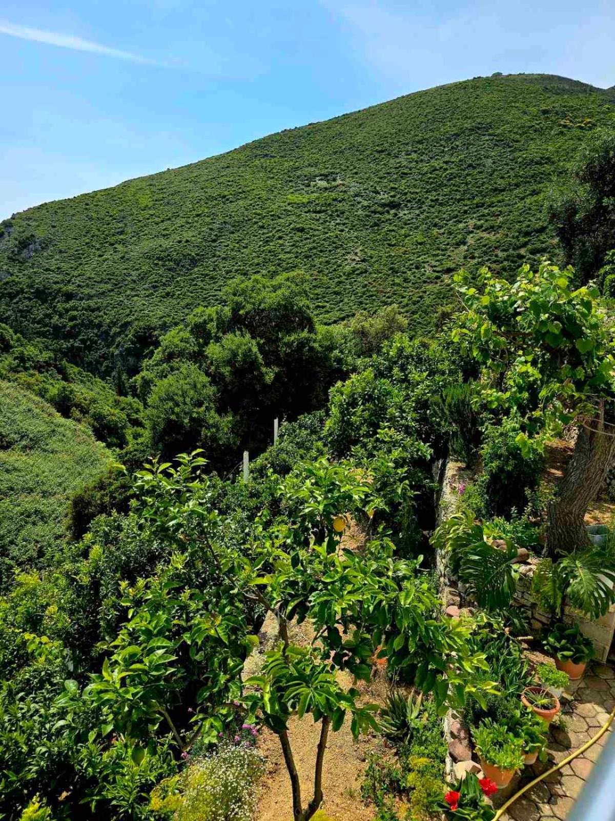 Philoxenia guest house Himara Zewnętrze zdjęcie